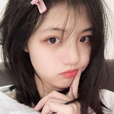 追星星的人第三季