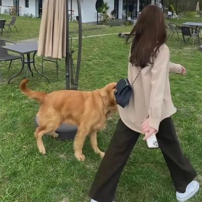 库宾一家人